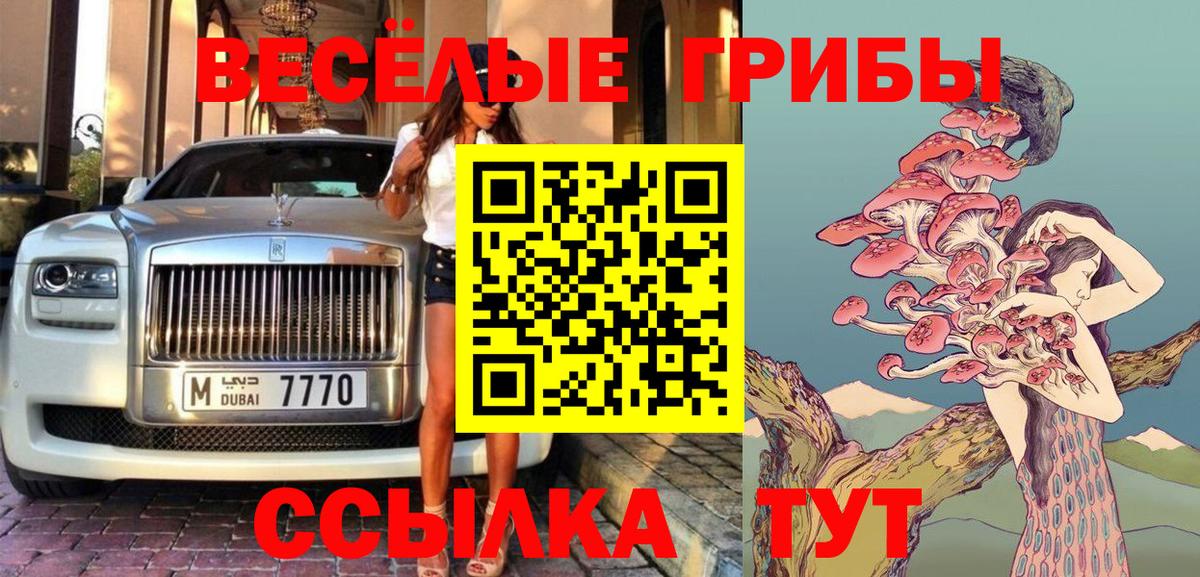 Псилоцибиновые грибы прущие грибы Сергиев Посад